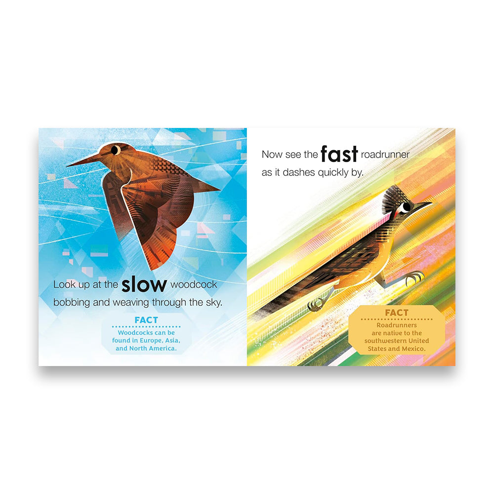 Birding for Babies: Birds Around the World : An Opposites Book