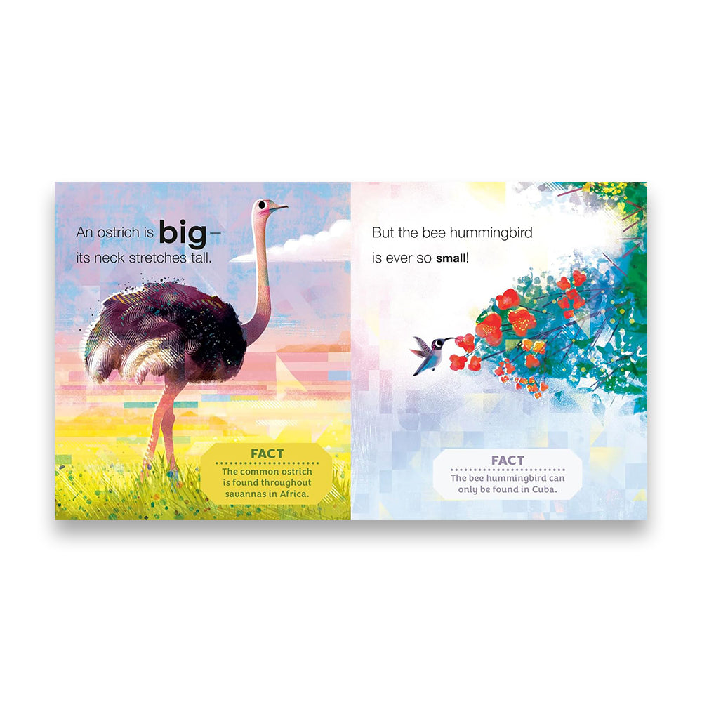 Birding for Babies: Birds Around the World : An Opposites Book