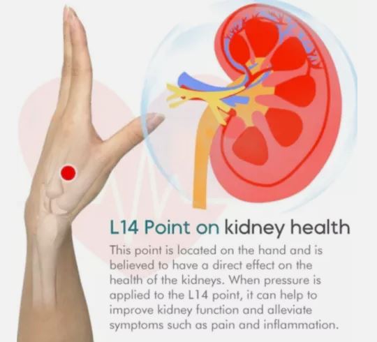 Sugar Control LI4 Acupressure Point Clip (BUY 1 GET 1 Free)