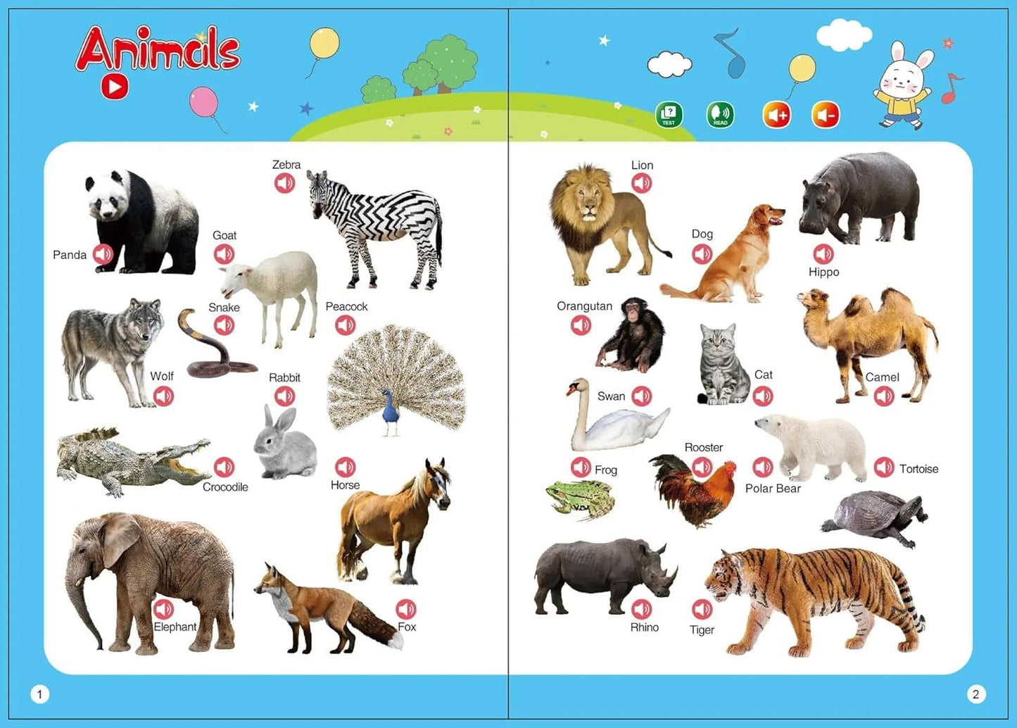 Kids Early Learning Audiobook